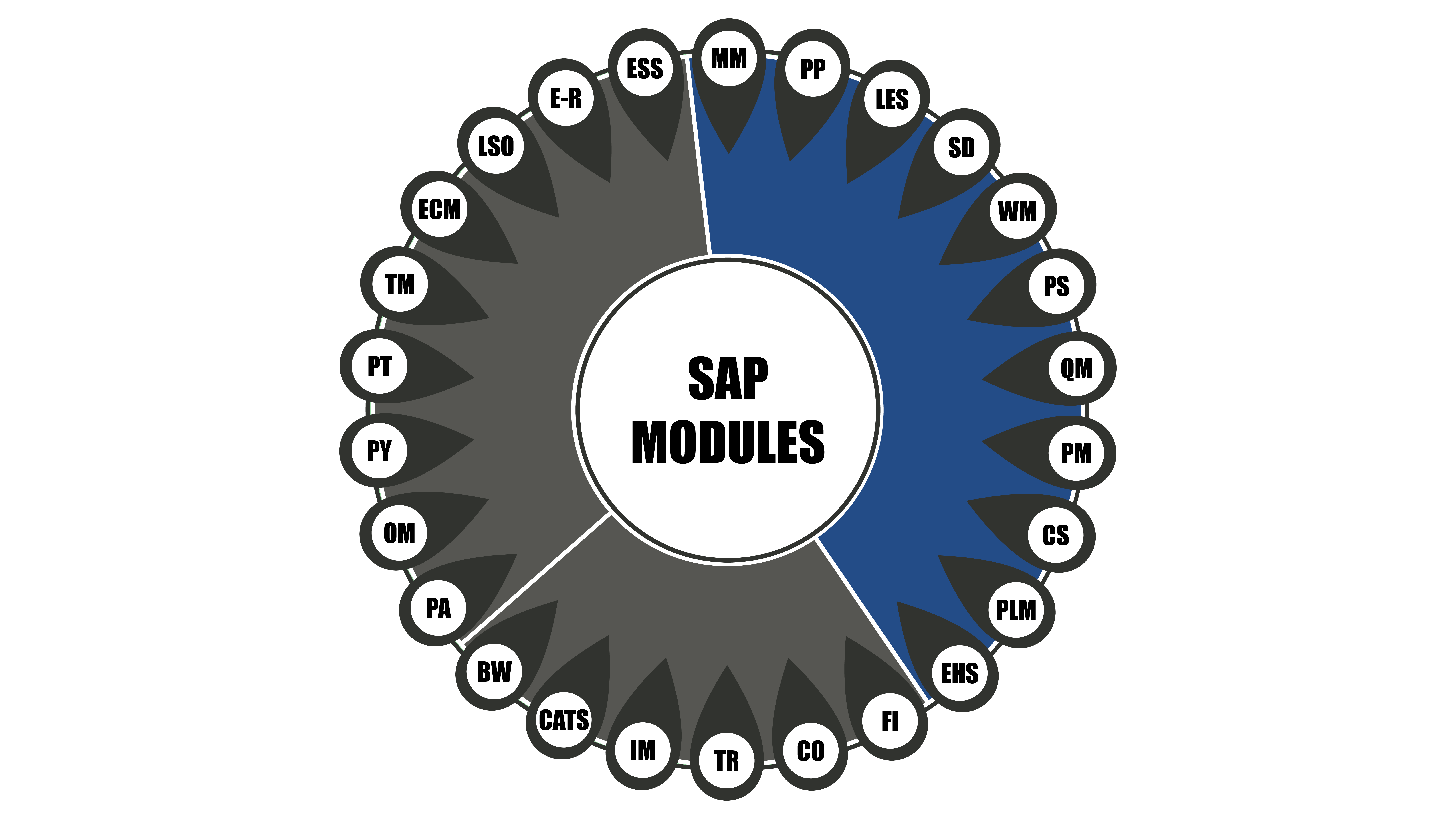 Modules sap guide complet